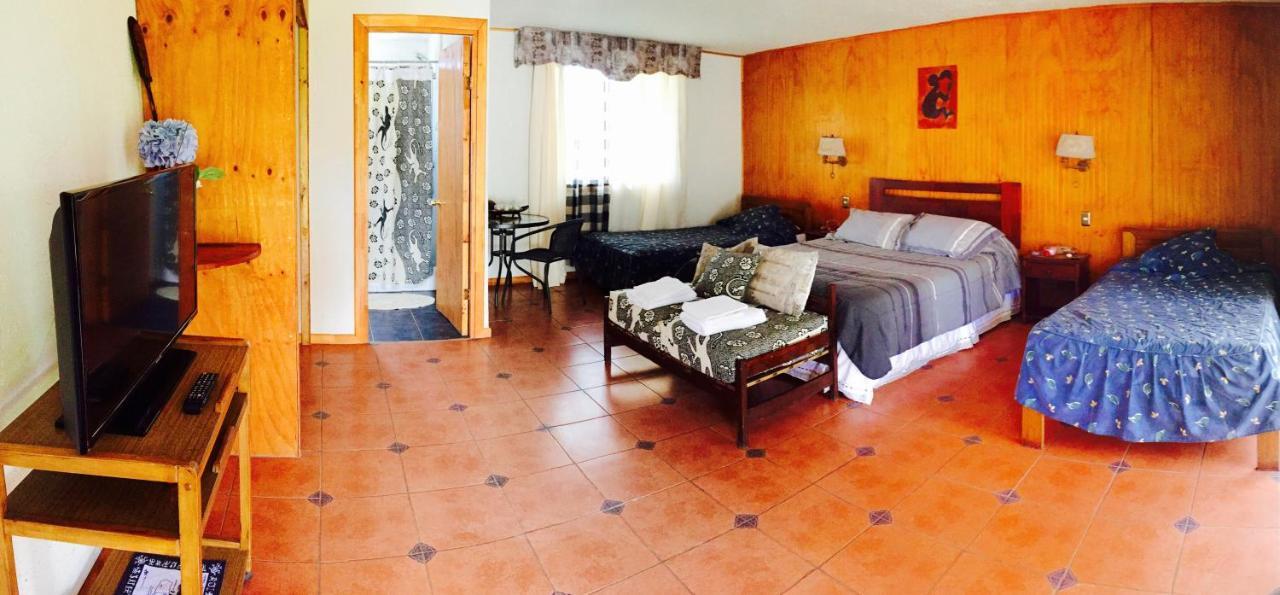 Hare Pakoba Guest House Ханга-Роа Экстерьер фото